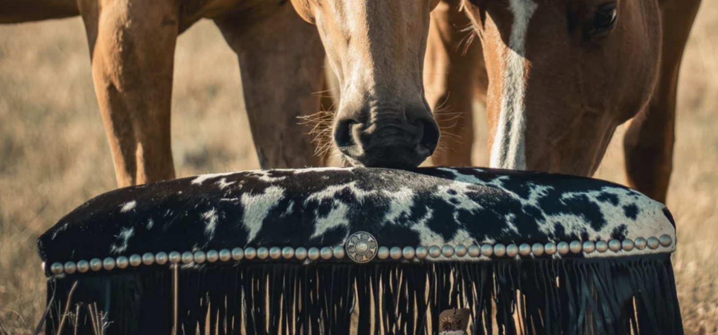 Equine Leather Products